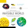 Invisible World (Görünmez Dünya). Bilgilendirici kitap (2818)